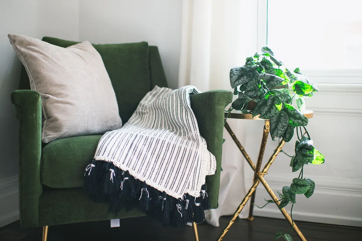 What Is Biophilic Design? A Beginner's Guide to Nature-Inspired Interiors